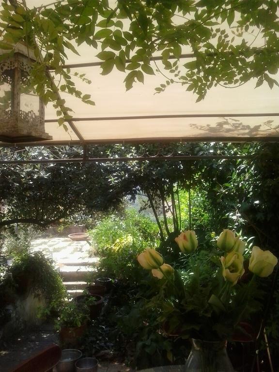 Il Cenacolo Di Sissi Apartment Campagnano Di Roma Exterior photo
